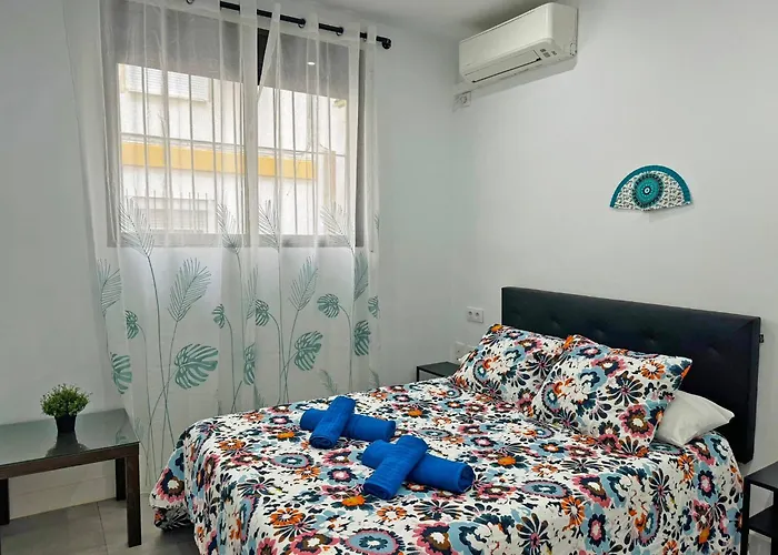 Acebuche - Ole Solutions Daire